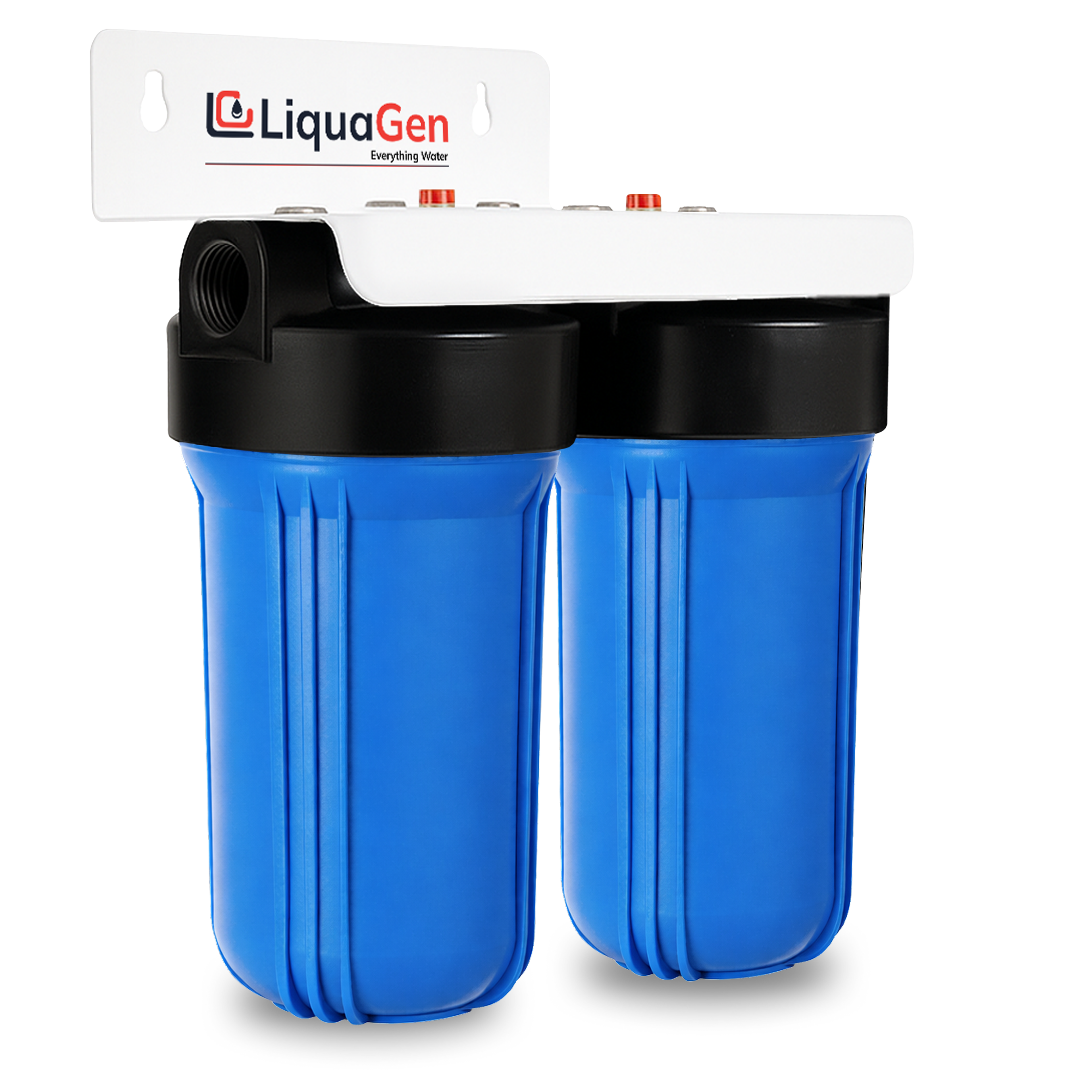 2-Stage Whole House Chlorine Reduction System