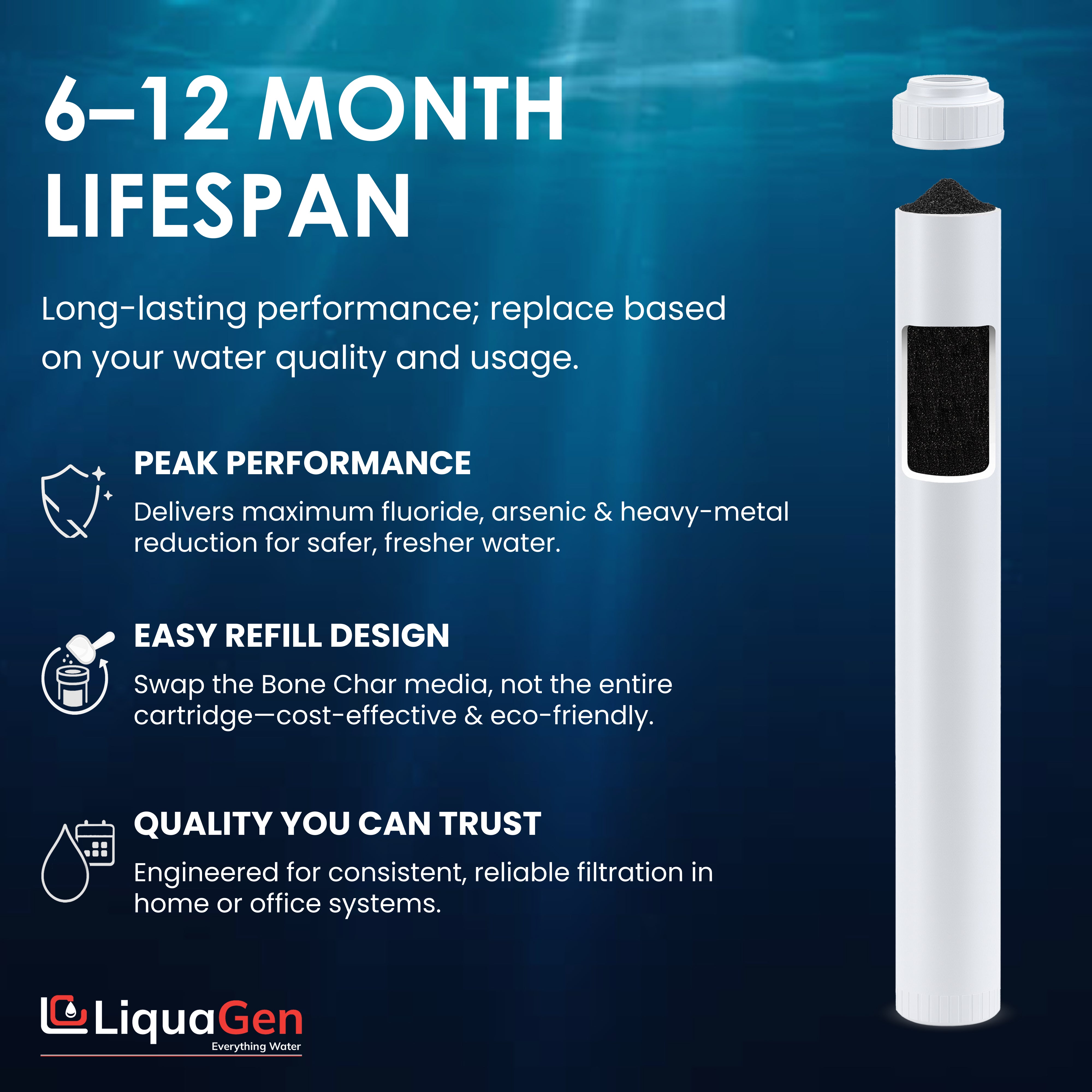 2.5" x 20" Bone Char Filter Cartridge (Flouride Reduction)