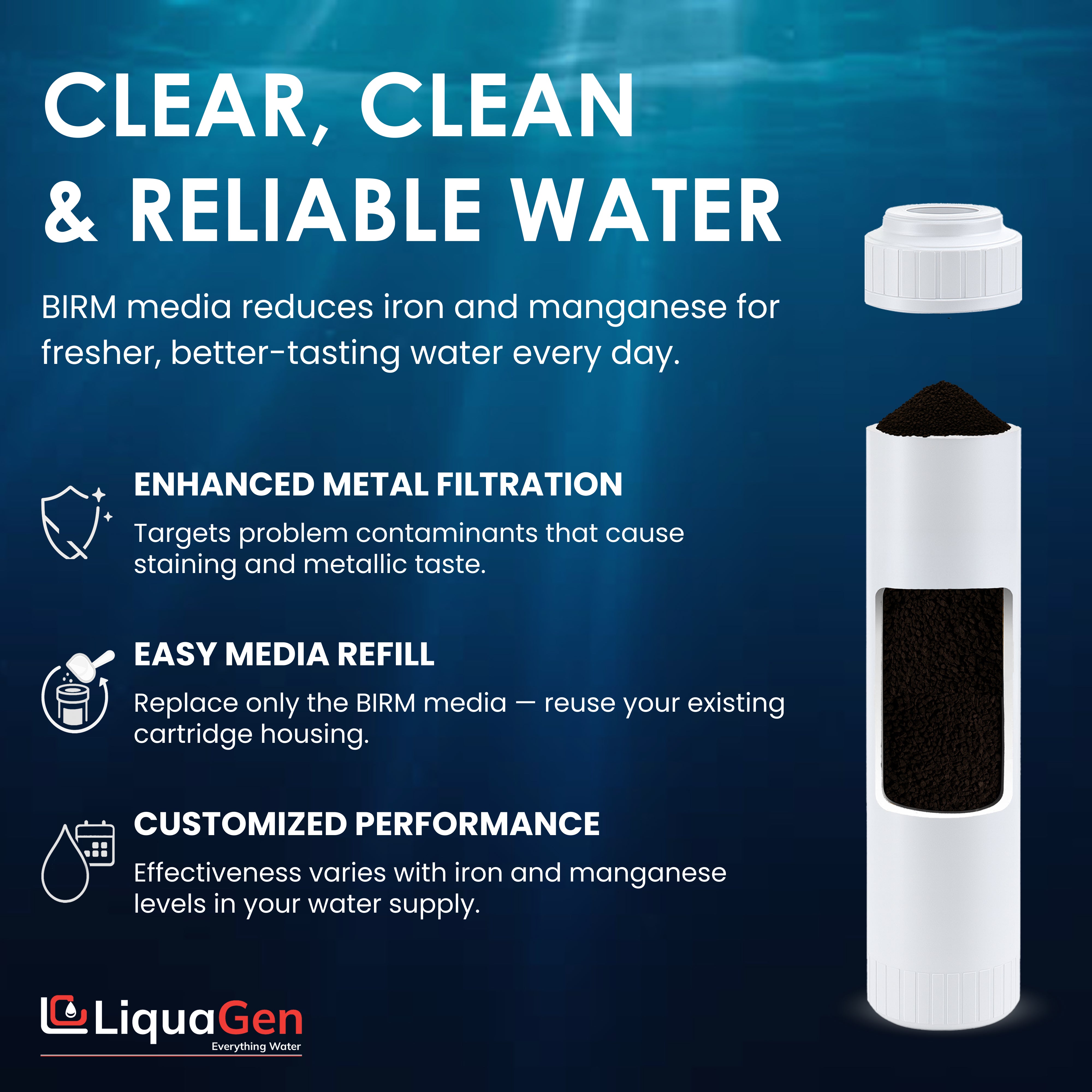 2.5" x 10" BIRM Filter Cartridge (Iron & Manganese Reduction)