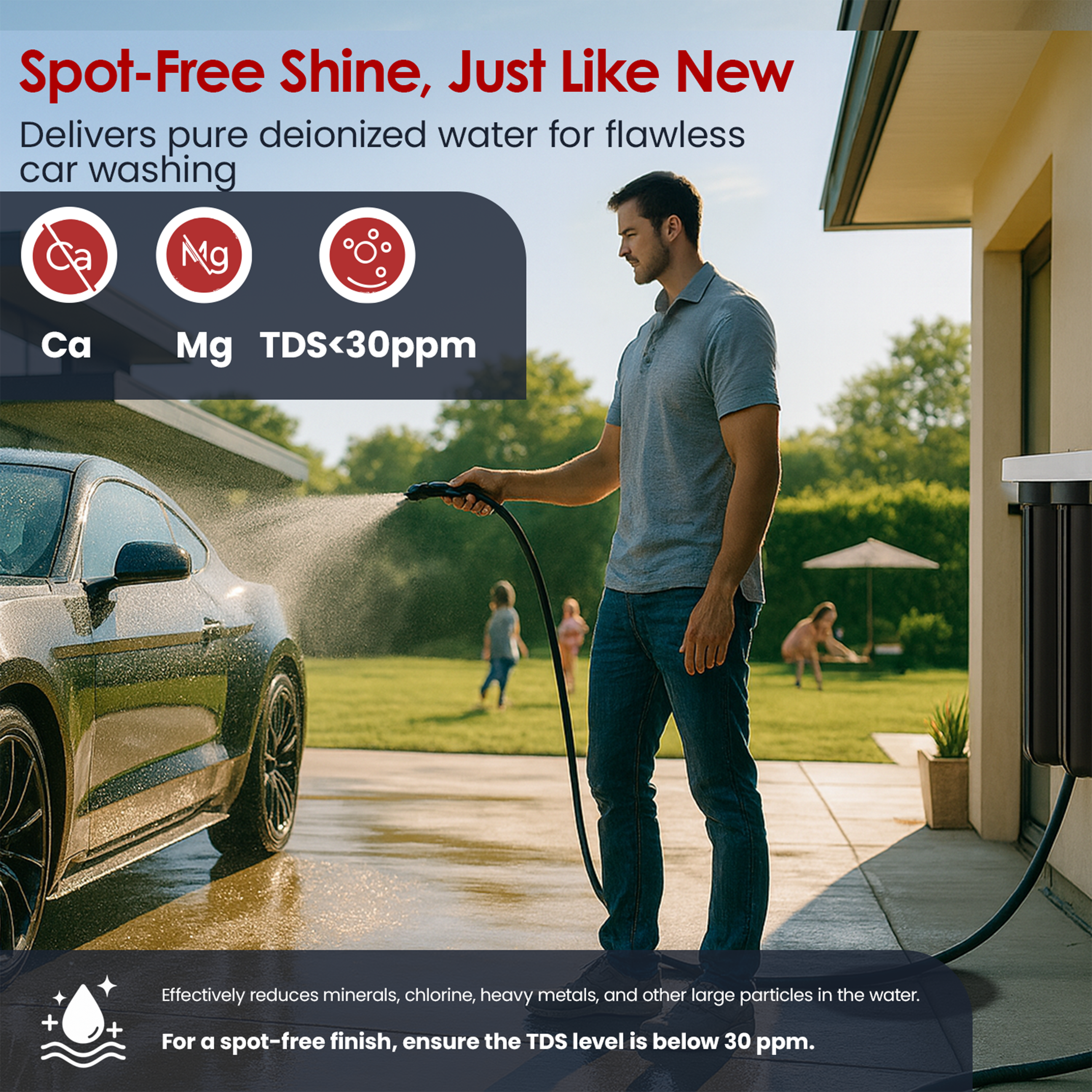 SINGLE SPOT FREE DE IONIONIZER SYSTEM - LiquaGen Water