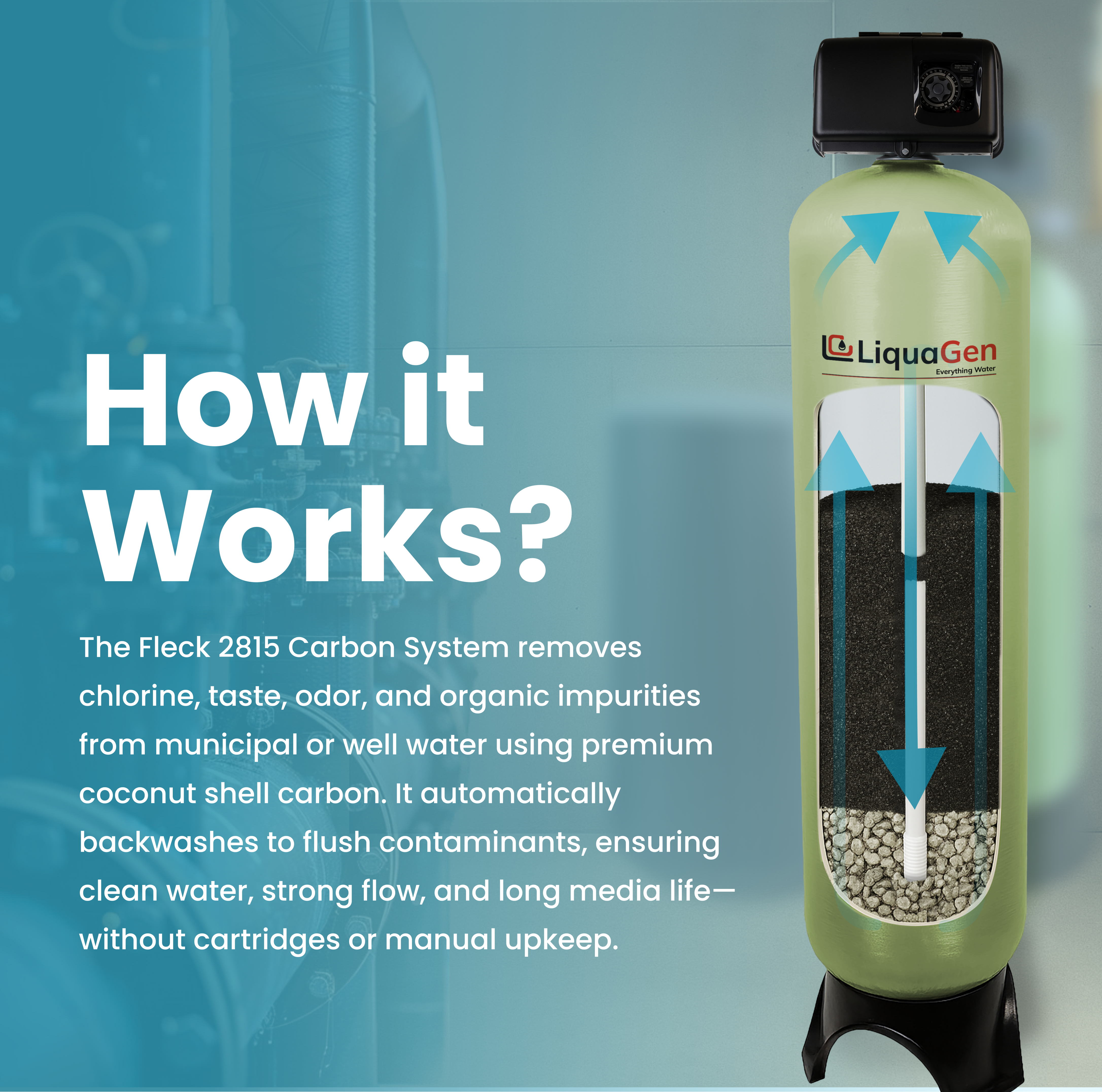 1.5" Backwashing Catalytic Carbon Filter | 10-30 GPM - LiquaGen Water