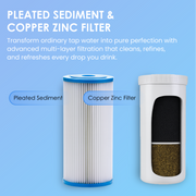 DUAL STAGE Whole House Filtration | Heavy Metal Removal