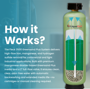 2" Backwashing GreenSand Media Filter | 28-64GPM