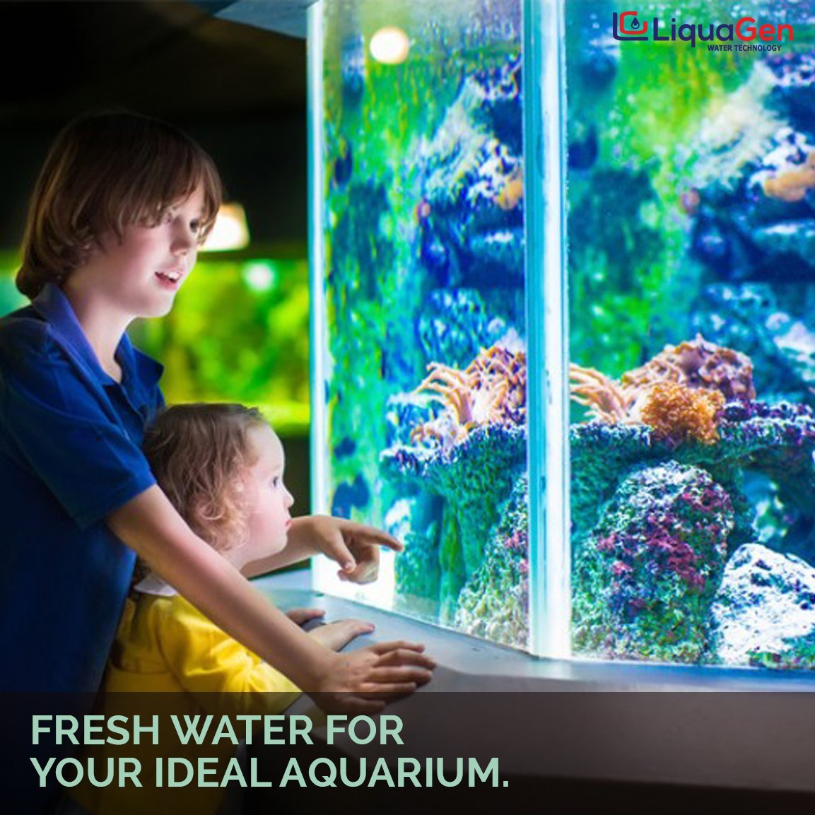 6 Stage Heavy Duty RO/DI Water Filter System - 150 GPD (2-OS-150) - LiquaGen Water