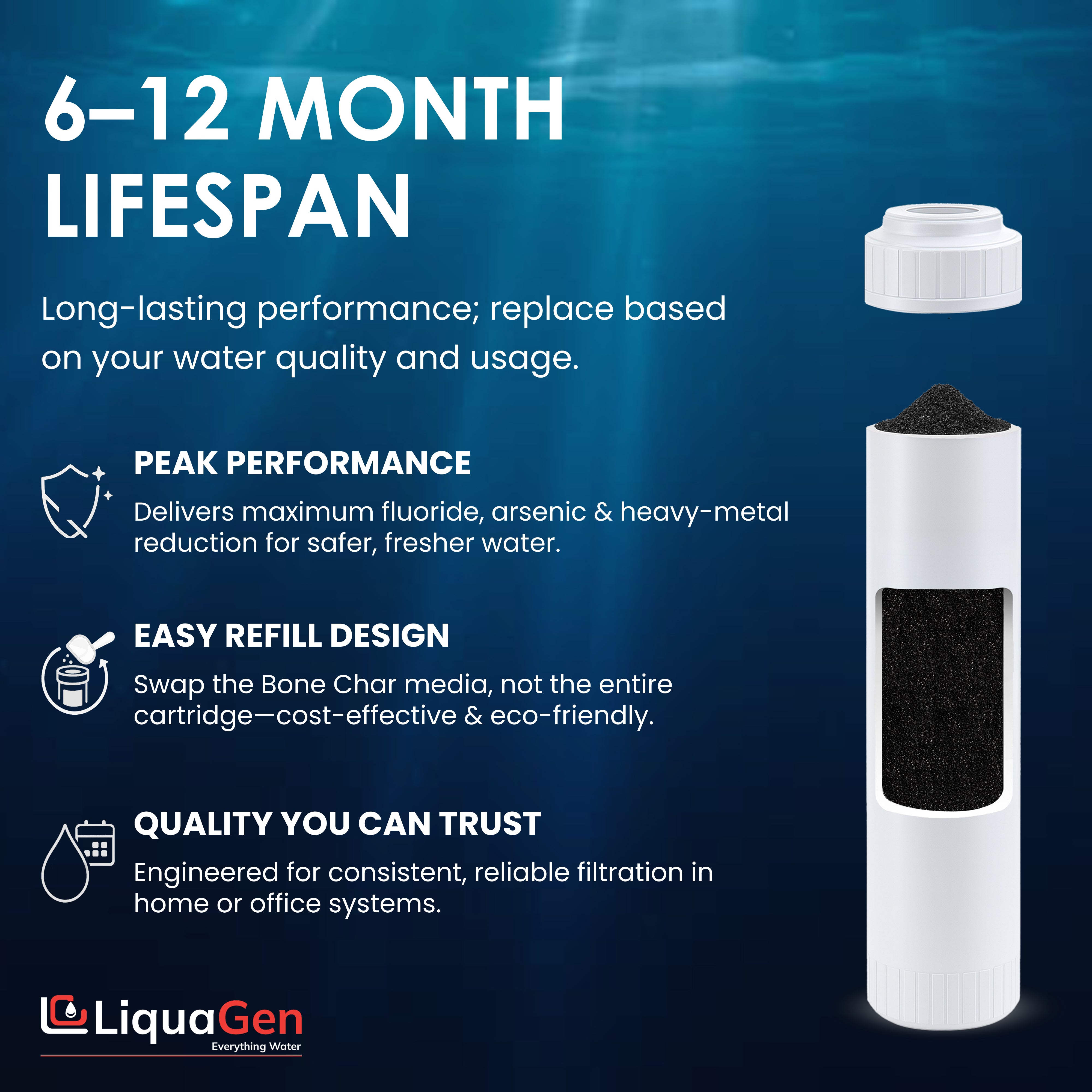 2.5" x 10"  Bone Char Filter Cartridge (Flouride Reduction)