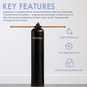 Manual Backwash Fluoride Removal Filter System