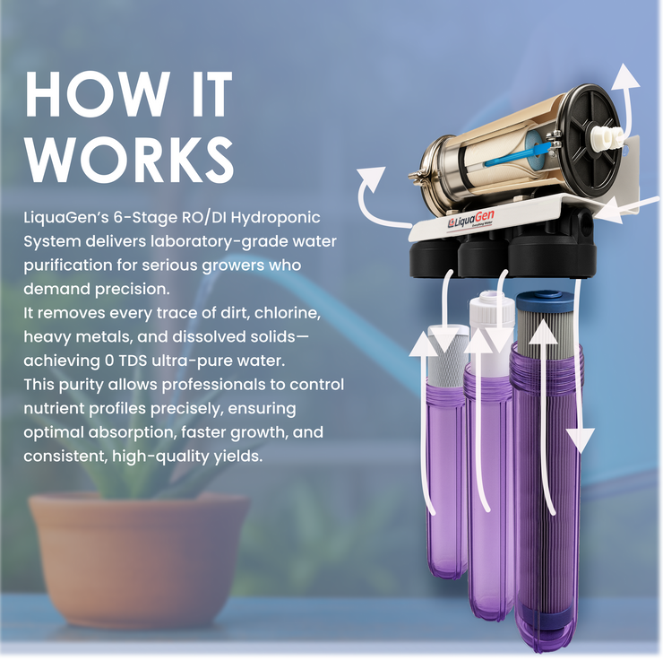 Commercial Hydroponics RO/DI System 600 GPD 2.5"x20" | 6 Stage Filtration