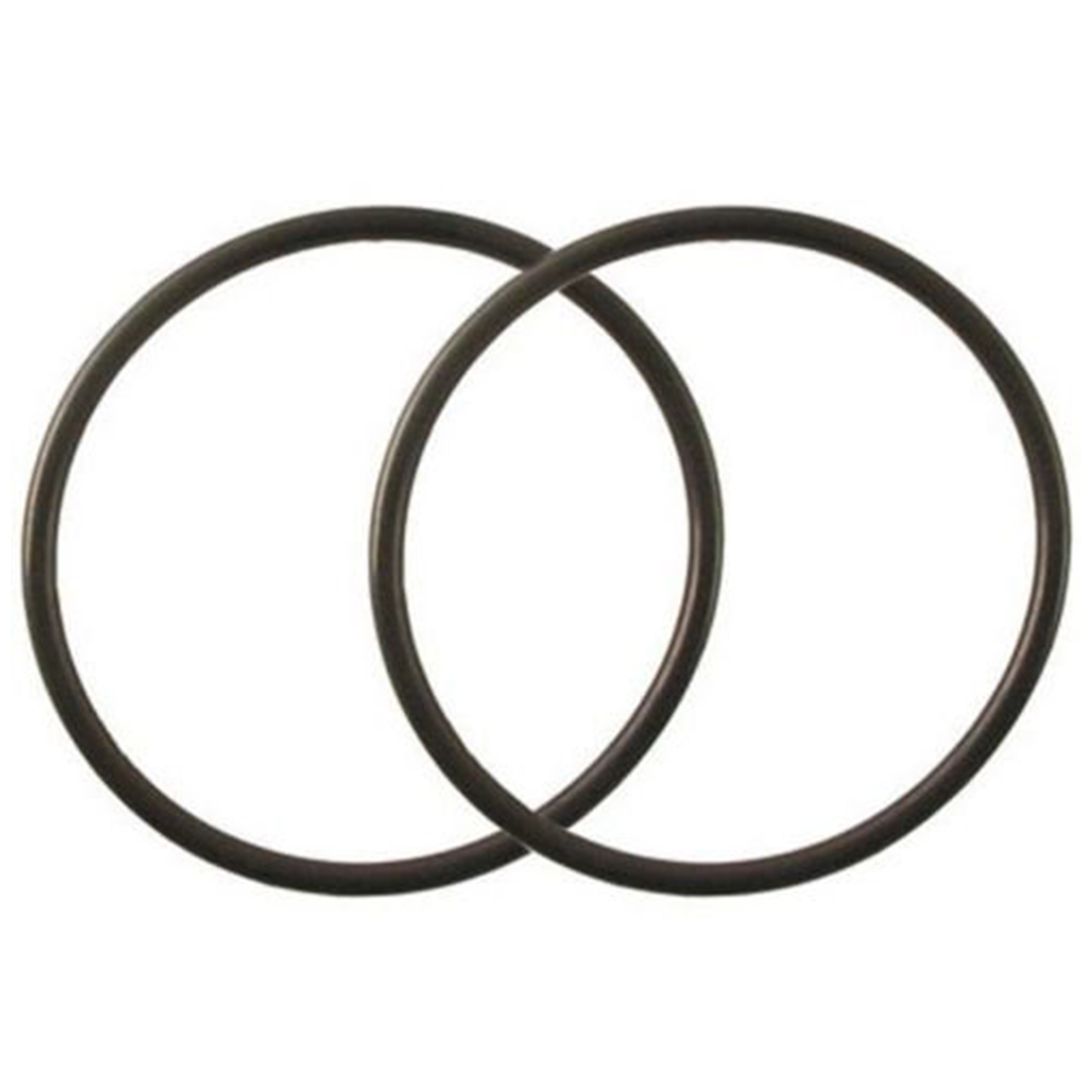 TWO 0-RING FOR BIG BLUE HOUSINGS 10"