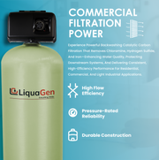 1.5" Backwashing Catalytic Carbon Filter | 10-30 GPM