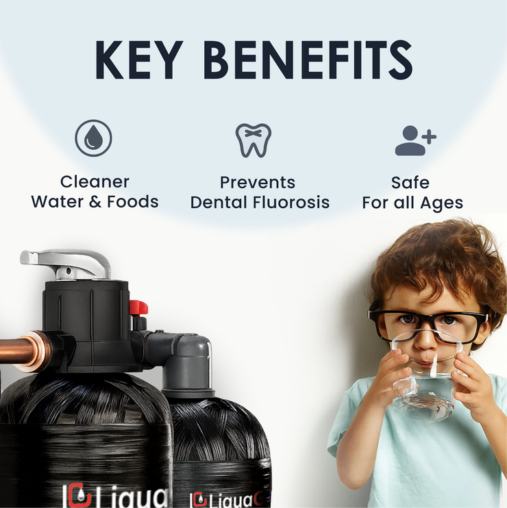 Upflow Fluoride Removal Filter System