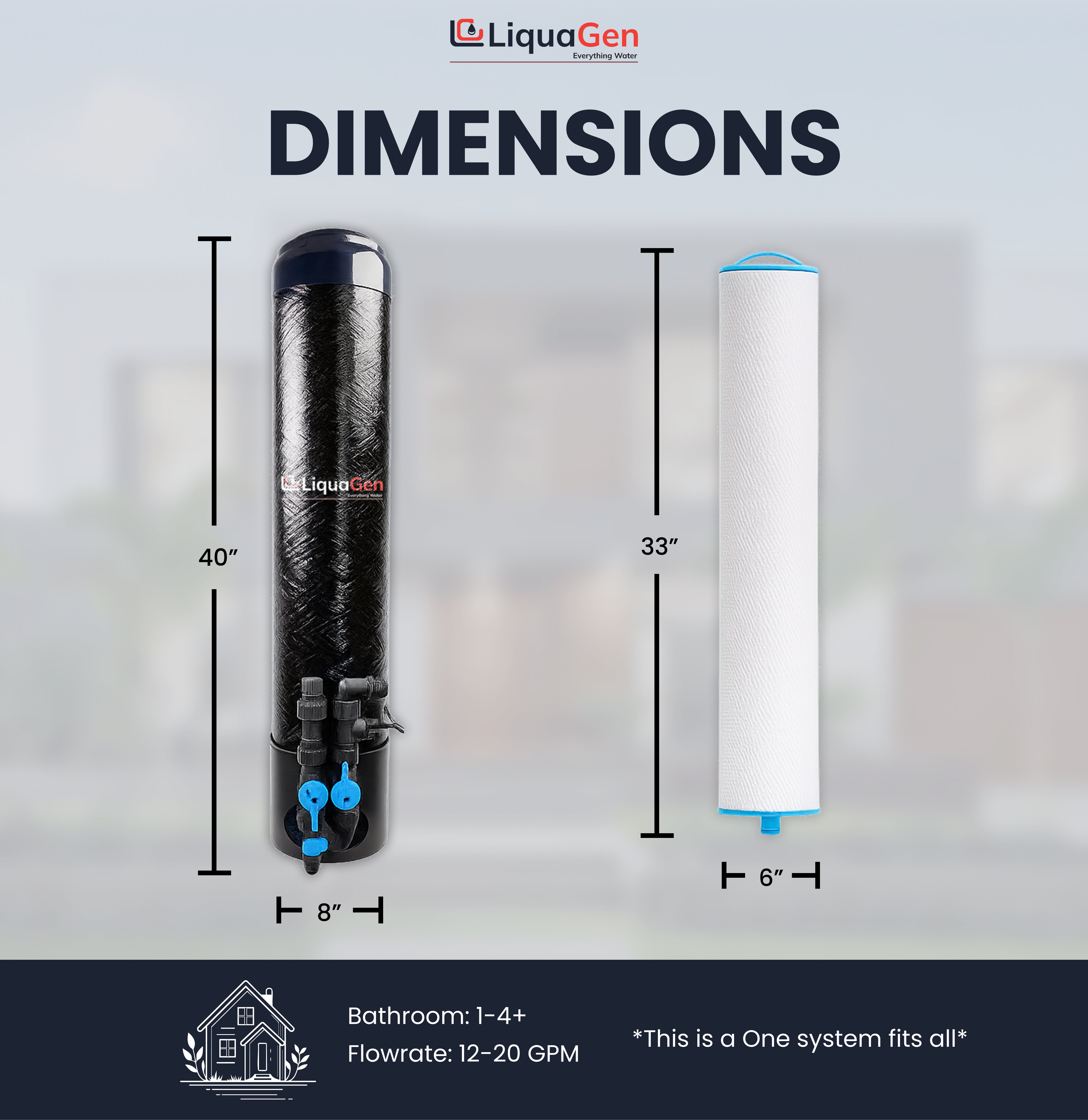 Lead, Cyst & PFOA/PFOS Removal System