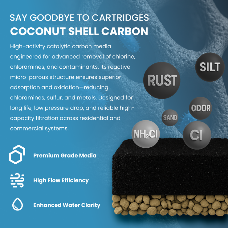 2" Backwashing Catalytic Carbon Filter | 28-64GPM