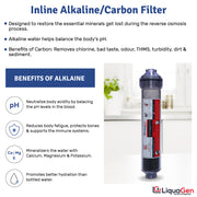 pH Alkaline Mineral + Post Polisher Water Filter - LiquaGen Water