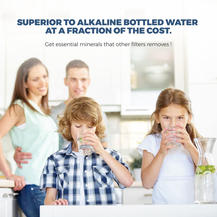 pH Alkaline Mineral Water Filter - LiquaGen Water